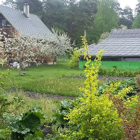 別荘 House Niedras Jūrkalne